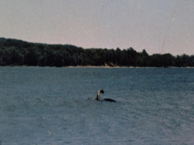 Champ the Lake Champlain monster is a myth that has been around since the 1600's. Yore Town Podcast talks all about it.